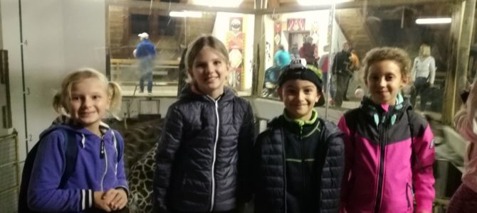 Tradiční návštěva večerní Zoo v Lešné